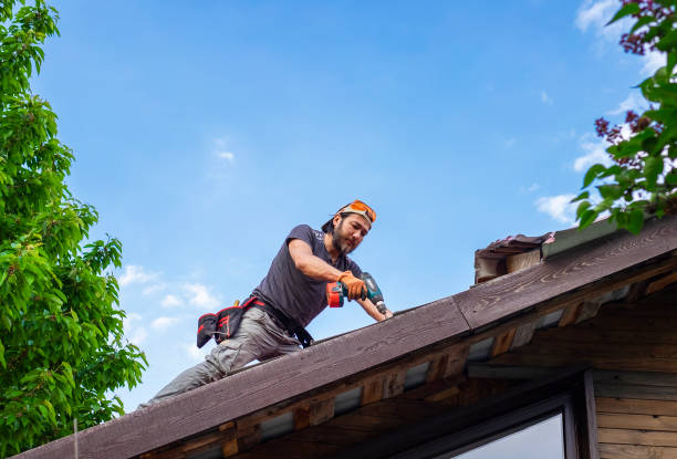 Best Roof Installation  in Viera West, FL